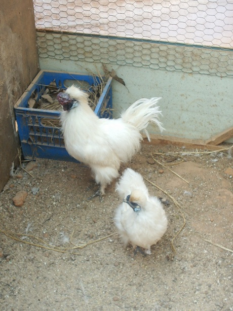 산속의집 이미지