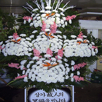 김*기 이미지