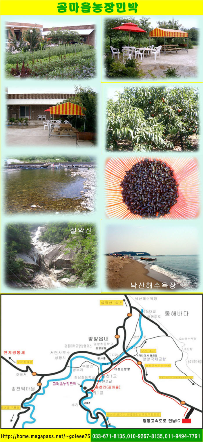 곰마을민박 이미지