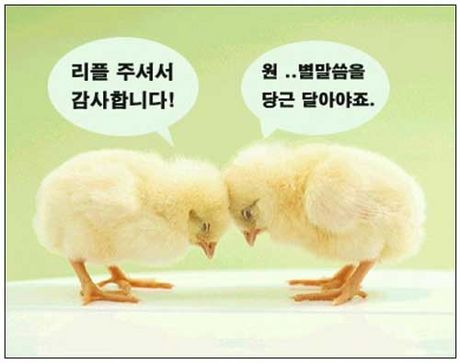 쿨당구장 이미지