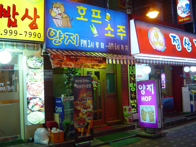 양지호프 이미지
